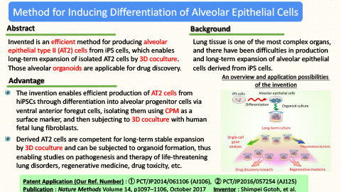 Method for inducing differentiation of alveolar epithelial cells