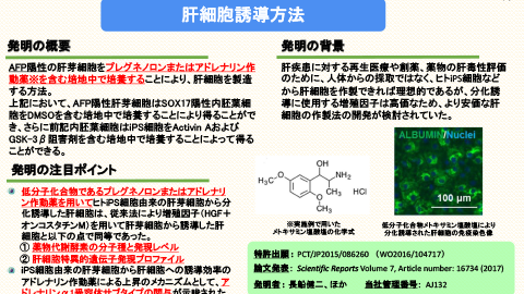 肝細胞誘導方法